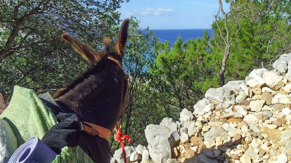 Orosei Gulf: 3 Days Trekking With Donkeys - Common questions