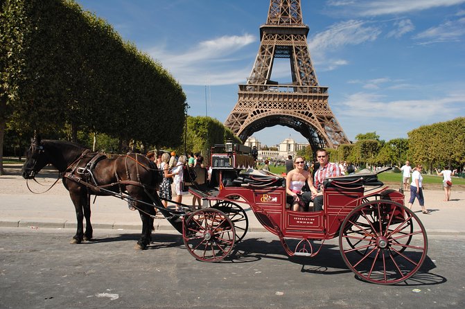 Paris Private Romantic Horse & Carriage Ride - Horse and Driver Information