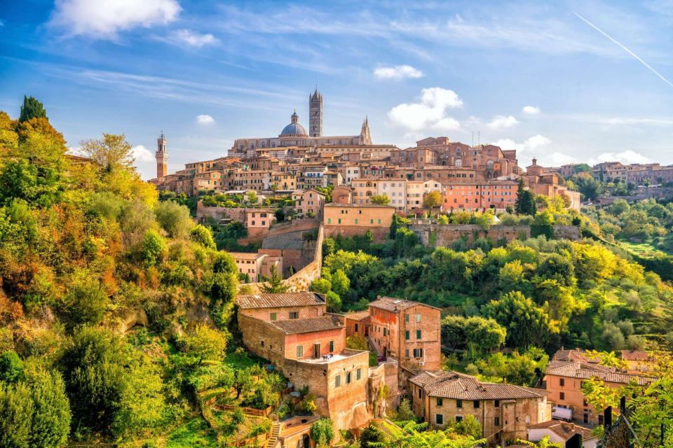 Pisa, Siena and Chianti Private Tour From Florence by Car - Inclusions