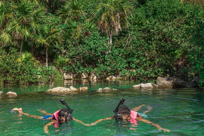 Playa Del Carmen, Xcaret Park Admission Ticket  - Cancun - High Praise and Critiques