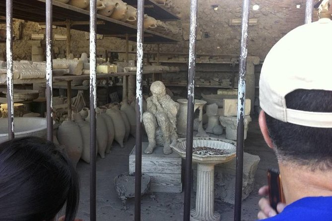 Pompeii Private Guided Tour Skip the Line - Tour Logistics