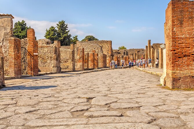 Pompeii Ticket With Optional Guided Tour - Cancellation Policy and Accessibility