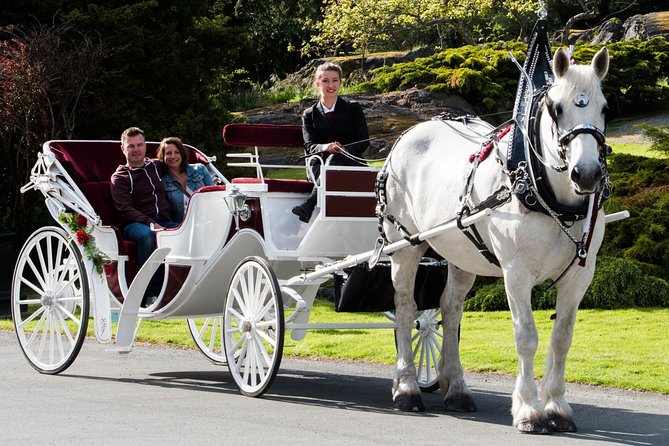 Premier Horse-Drawn Carriage Tour of Victoria - Customer Reviews and Ratings