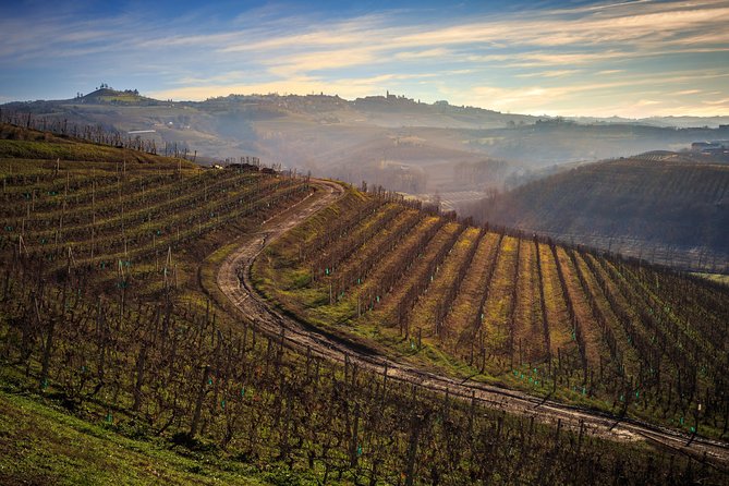 Private Barolo / Barbaresco - Piedmont Wine Tours and Tastings - Additional Details