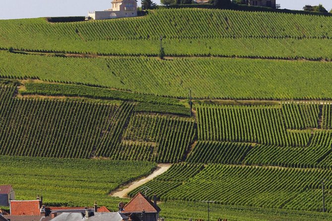 Private Day Trip From Paris to Reims and the Champagne Region - Experience Provider Information