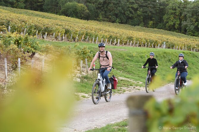 Private E-Bike Tour With a Guide in the Vineyards of Chablis - Cancellation Policy Details