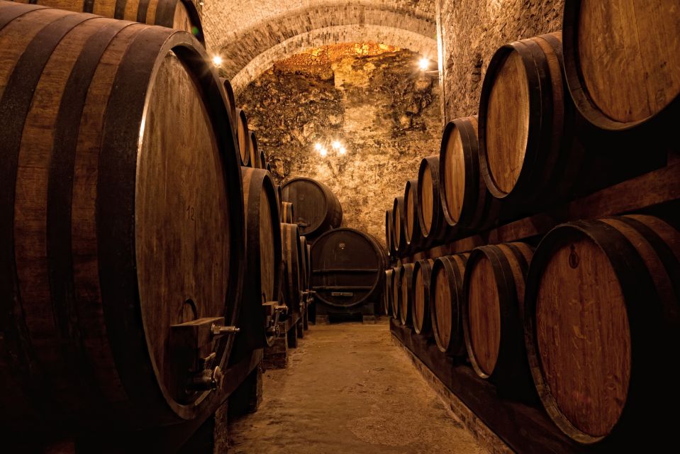 Private Porto Half-Day Tour - Wine Cellars & Cheese Tasting - Inclusions and Booking