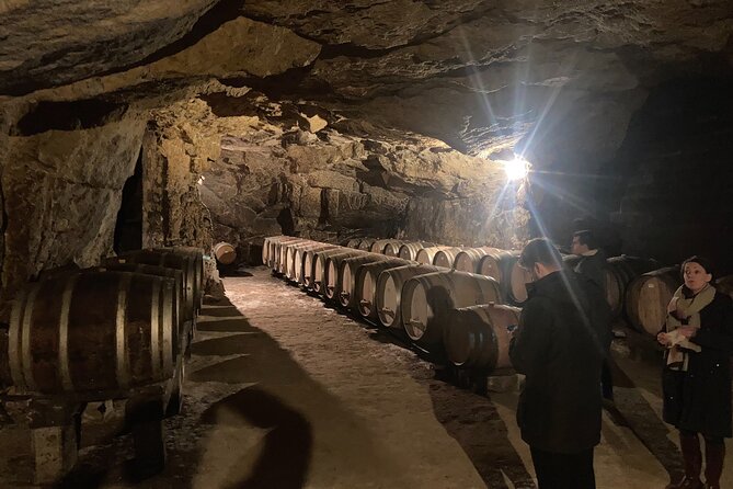 Private Rhône-Valley Wine Tour With a French Sommelier - Gourmet Food Pairings