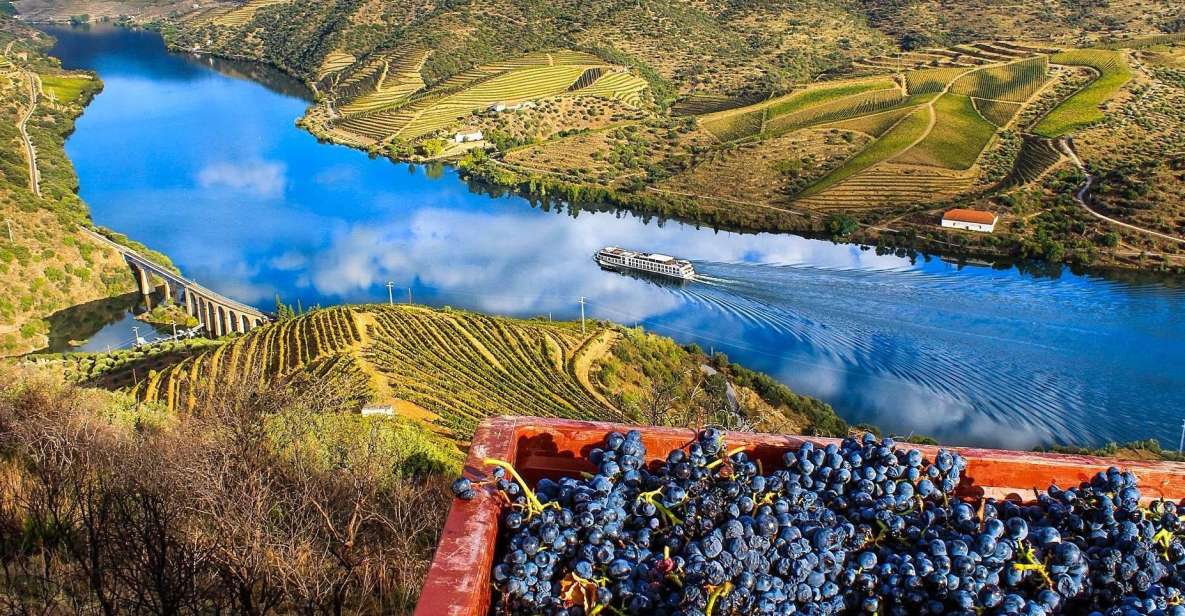 Private Tour: Douro Valley Wine and Food From Oporto - Activity Description and Itinerary