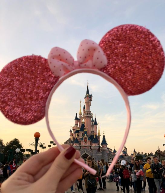 Private Transfer CDG and Orly Airports To/From Disneyland - Flexible Options