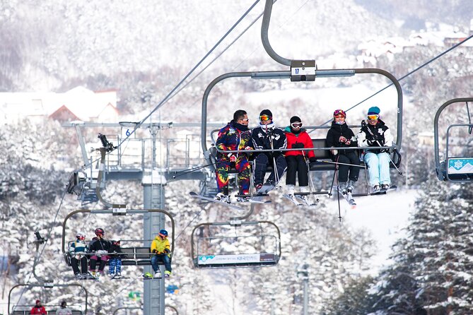 Private Transfer - Seoul ⇔ Alpensia / Yongpyong Ski Resort - Cancellation and Refund Policy