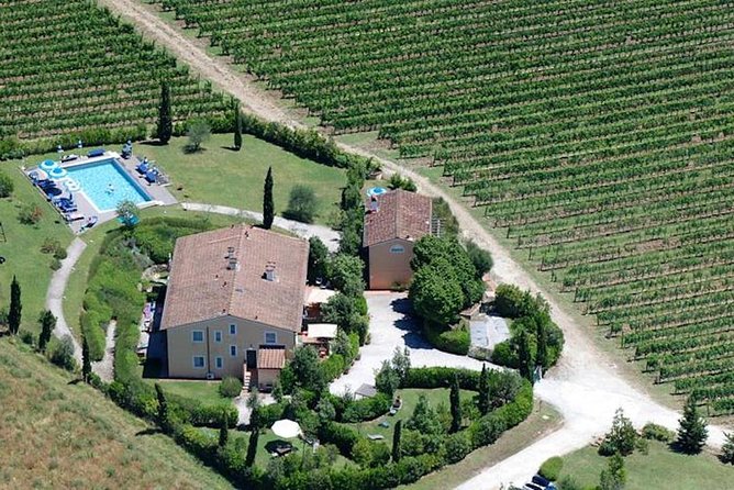 Private Wine Tour - Lucca Hills and Montecarlo (2 Wineries) - Reviewer Testimonials and Recommendations