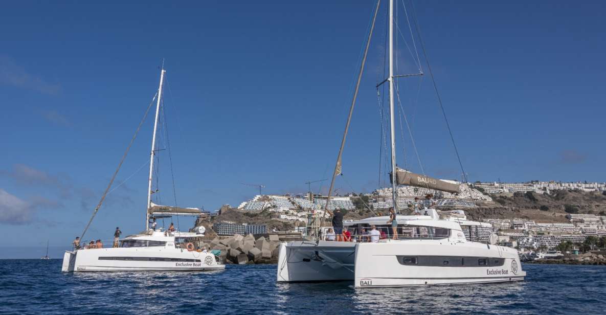 Puerto Rico De Gran Canaria: Private Catamaran Charter - Additional Activities and Services