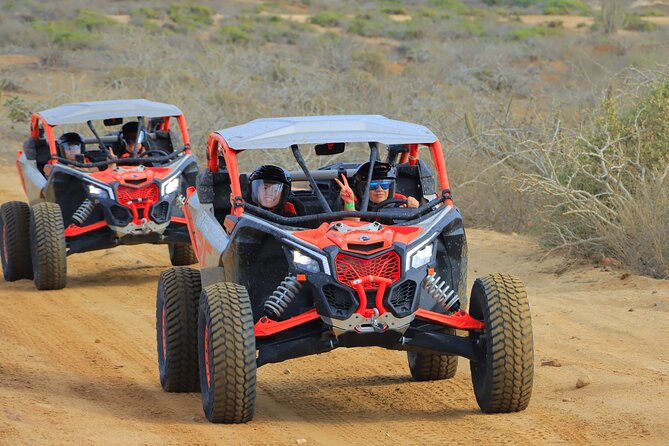 Real Baja Tour Aboard an Off-Road RZR in Los Cabos  - Cabo San Lucas - Cancellation Policy