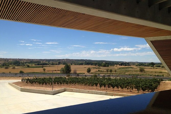 Ribera Del Duero Wineries Guided Tour & Wine Tasting From Madrid - Expert Guided Insights