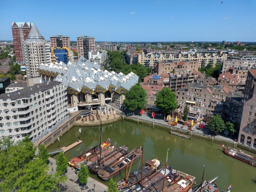 Rotterdam: Highlights & Art Walking Tour - Accessibility and Group Options