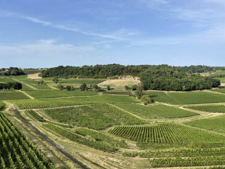 Saint-Emilion : Half-Day Wine-Tour Into Classified Estates - Customer Reviews