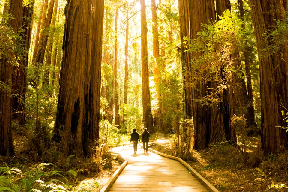 San Francisco: Muir Woods and Sausalito Experience - Common questions