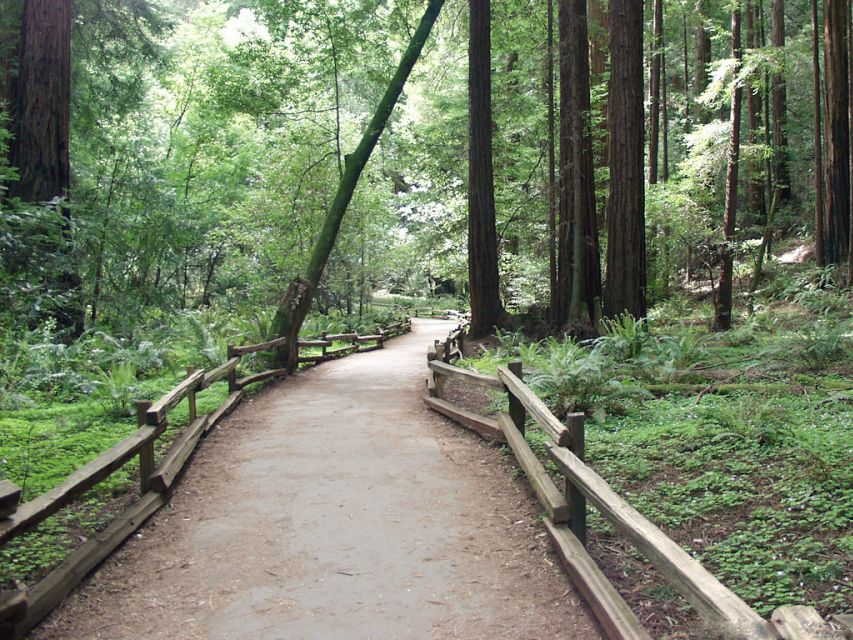 San Francisco: Muir Woods Tour & Hop-On Hop-Off Bus Pass - Price