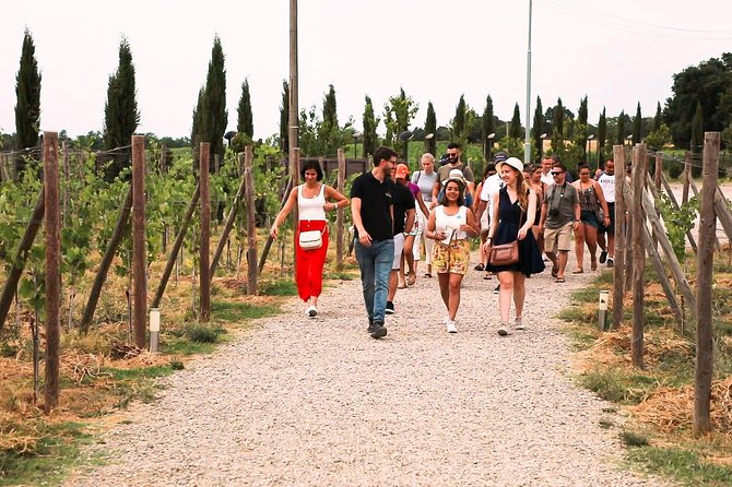 San Gimignano, Siena, Monteriggioni: Fully Escorted Tour, Lunch & Wine Tasting - Recommendations for Future Improvement