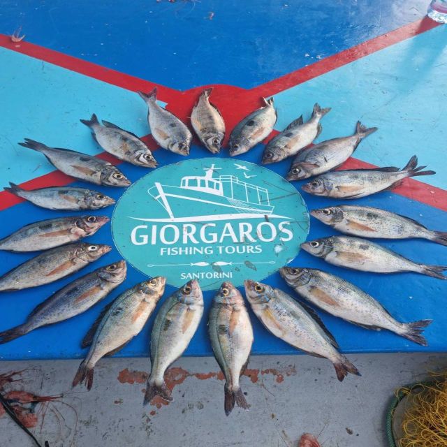 Santorini: Traditional Fishing Trip and Fresh Fish Lunch - Customer Reviews