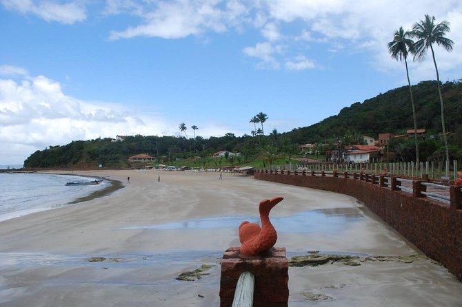 Schooner Tour to Frades Islands and Itaparica, Leaving Salvador - Bahia - Final Words