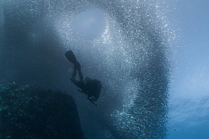 Scuba Diving - Visit the Arch of Cabo San Lucas