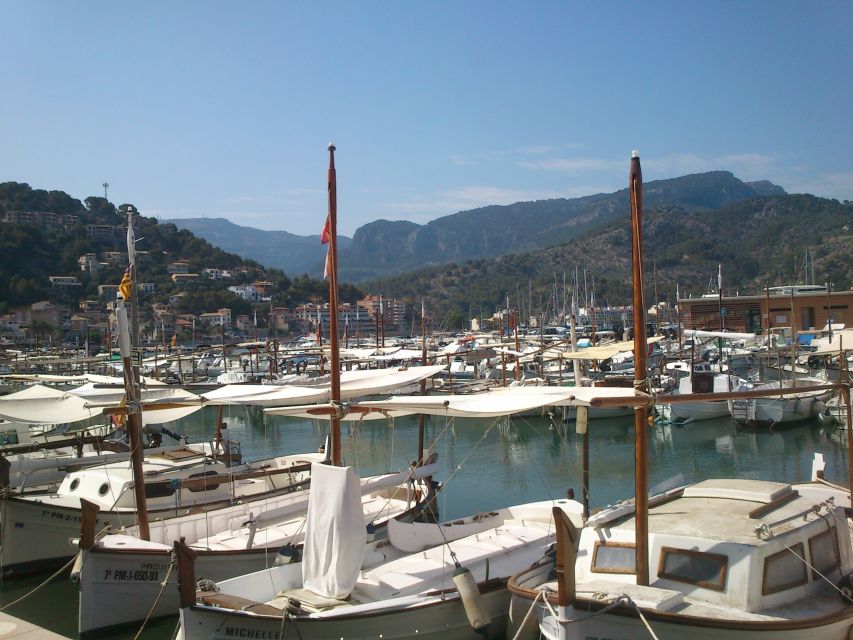 Serra De Tramuntana Half-Day Tour: Soller and Valldemosa - Tour Highlights