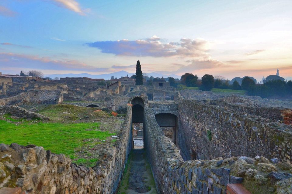 Shared Group: Pompeii Tour and Wine Tasting - Inclusions