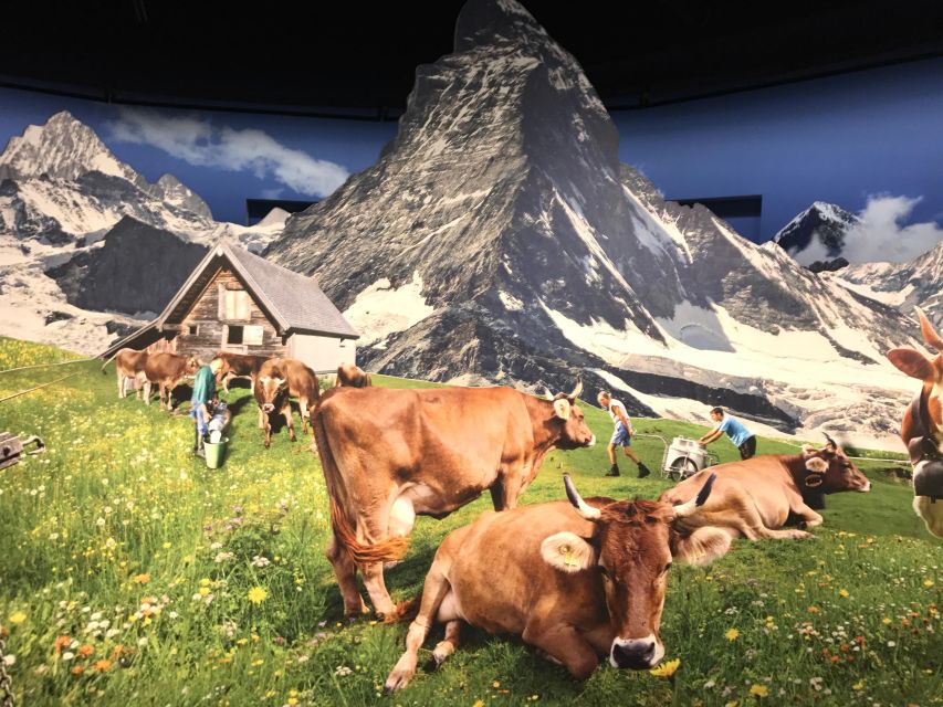 Swiss Chocolate Safari - Historical Exploration