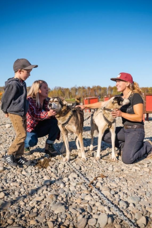 Talkeetna: Mushing Experience With Iditarod Champion Dogs - Directions