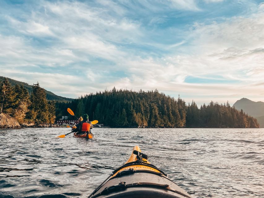 Telegraph Cove: 2 Hour Evening Kayak Tour - Directions and Additional Notes