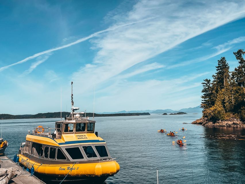 Telegraph Cove: Half-Day Whale Watching Tour - Important Information