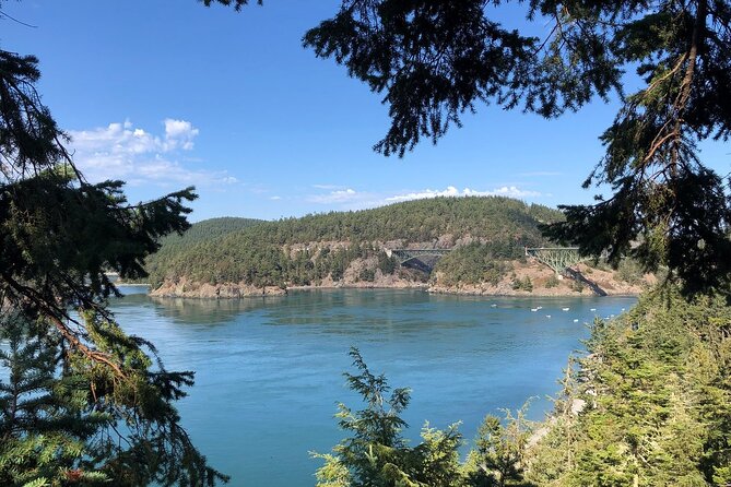 Tree Canopy Climbing on Lopez Island - Common questions