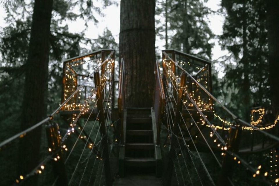 Vancouver Capilano Canyon Light&Peak of Christmas in Grouse - Full Description