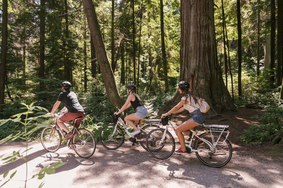 Vancouver: Half-Day City Highlights E-Bike Tour Age 16+ - Customer Reviews