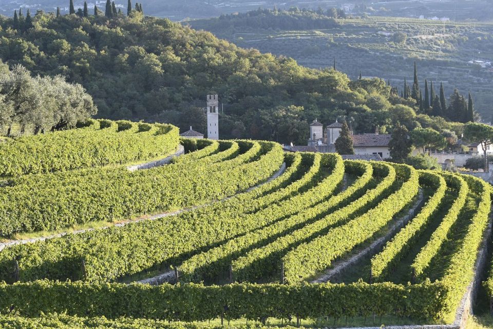 Veneto: Amarone Cooking and Tasting Experience in a Villa - Inclusions