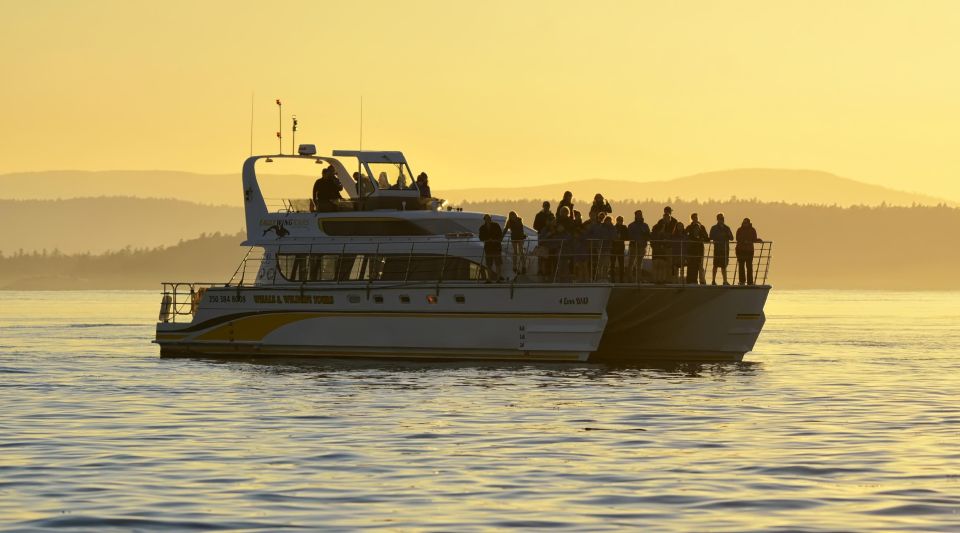 Victoria: Sunset Whale Watching Tour on Semi-Covered Boat - Common questions