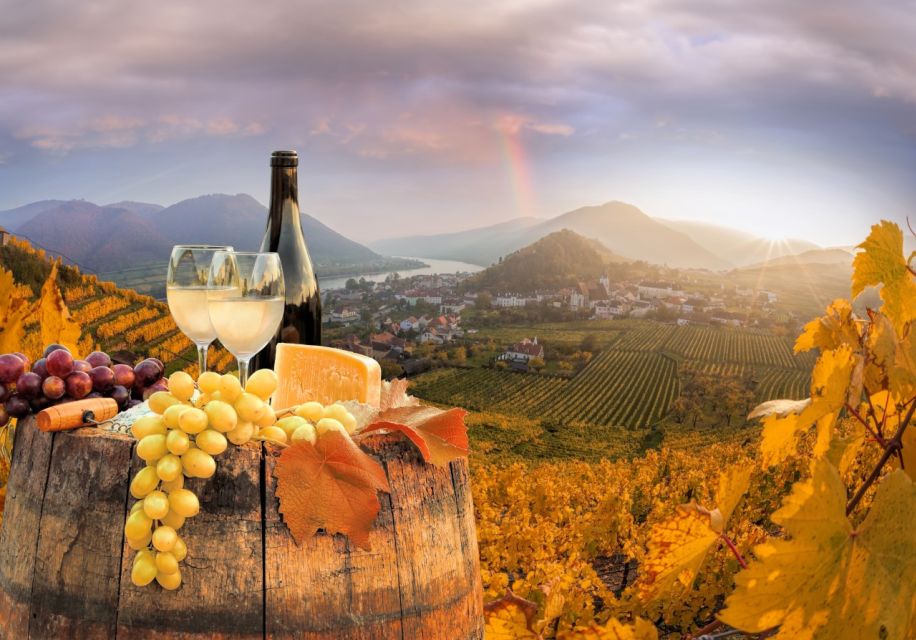 Vienna: Winery and Wine Tasting Tour With a Wine Expert - Detailed Description