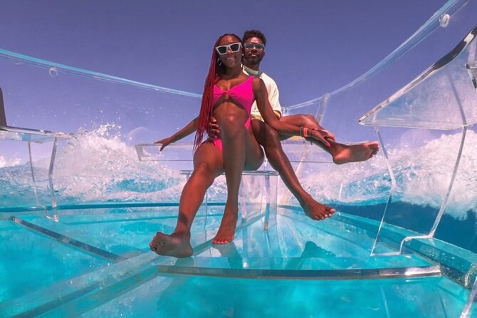 View of Marine Life in Cabo San Lucas on a Glass Bottom Boat. - Reviews and Pricing