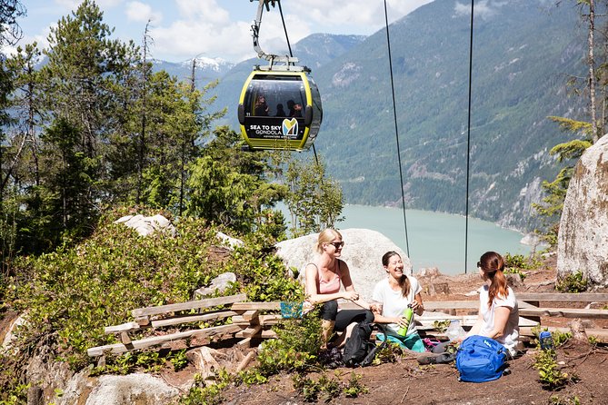 Whistler and Sea to Sky Gondola Tour - Customer Experiences and Reviews