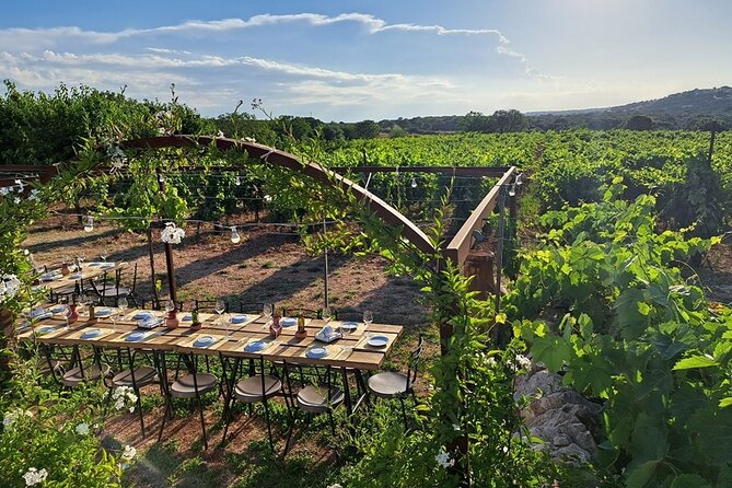 Wine Experience: Vineyard, Wines and Food - Booking Information and Pricing