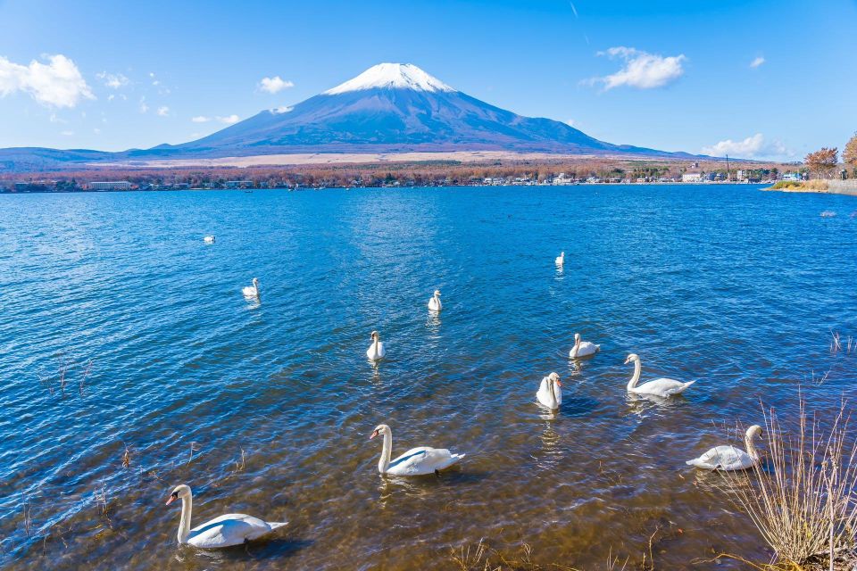1-Day Trip: Mt Fuji Kawaguchi Lake Area - Customer Reviews