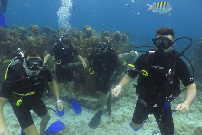 1st Life Experience Scuba Diving in Cancun FREE Photos/Videos - Common questions
