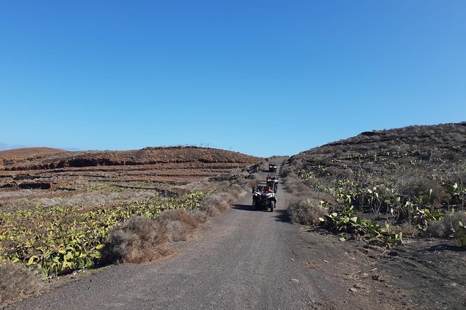 3-Hour Buggy Tour From Costa Teguise - Customer Reviews