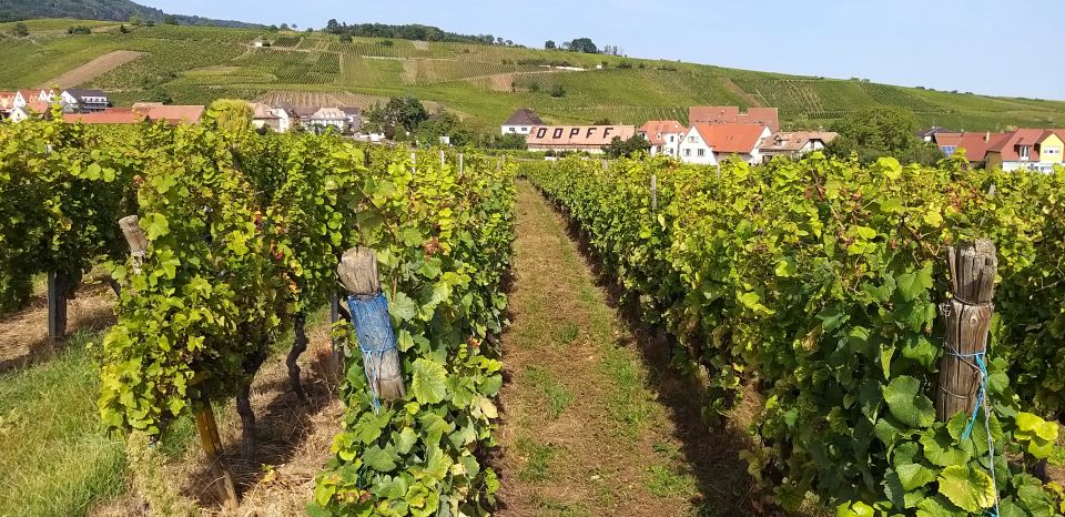 Alsace: Private Wine Tour - Tour Duration and Flexibility