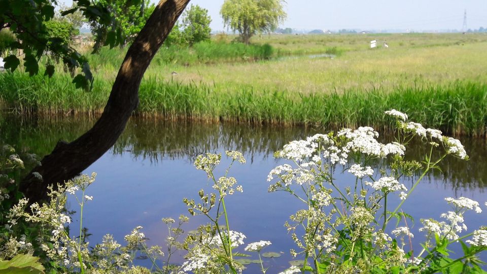 Amsterdam: Dutch Countryside Sunset Canoe Tour - Additional Information