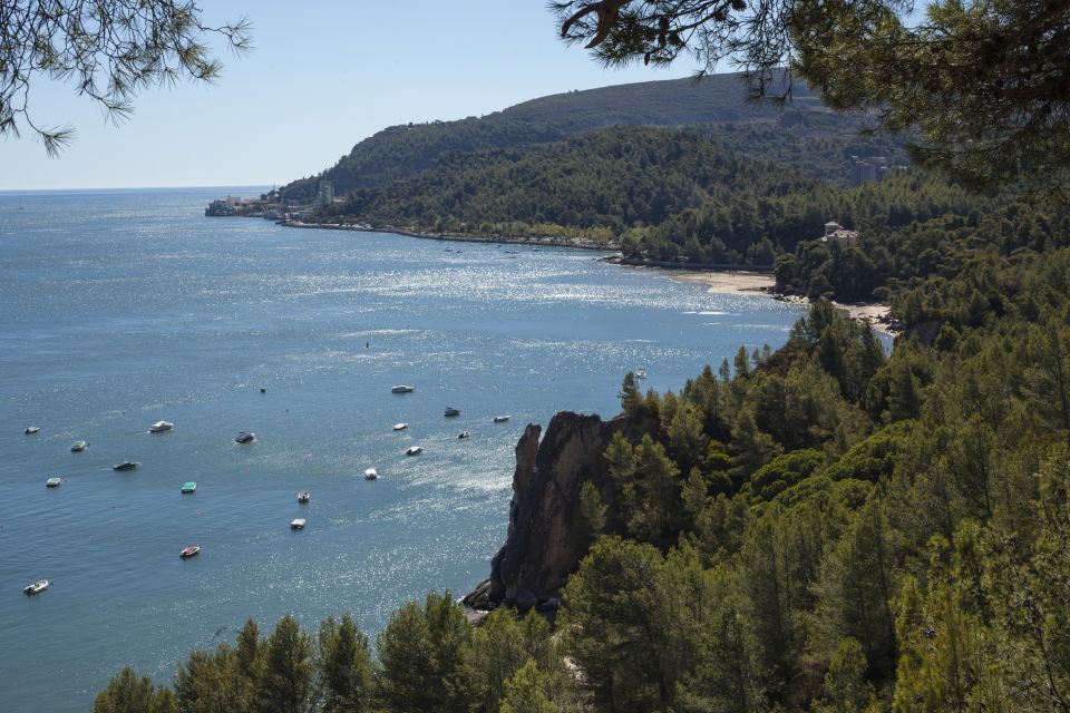 Arrábida: Full Day Tour of the Town With Wine Tasting - Booking Information