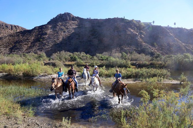 Authentic Horseback Riding in Beautiful La Mision - Customer Testimonials