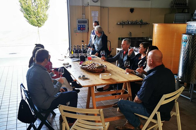 Barolo&Barbaresco Wine Tour With a Local Winemaker - Itinerary Highlights